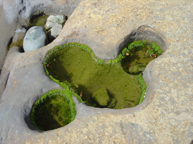 Footprint